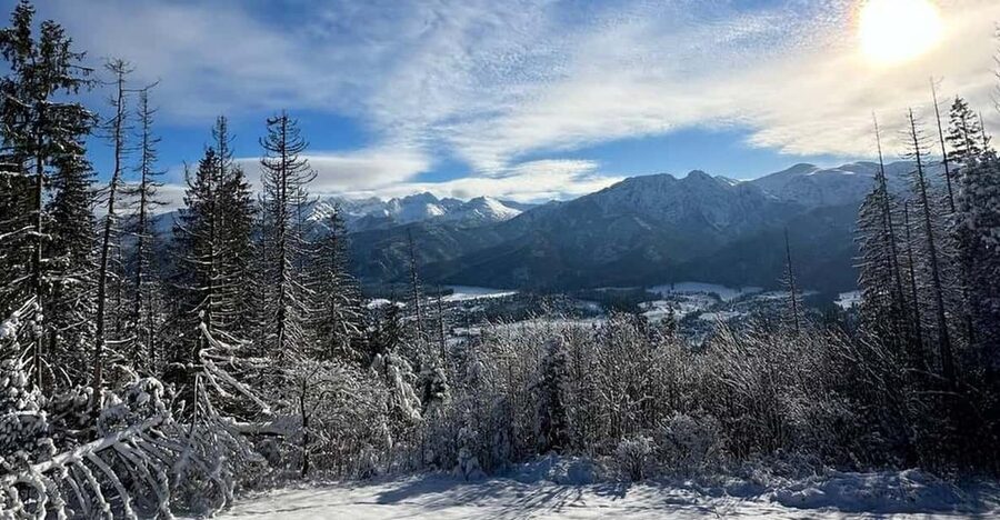 From Krakow: Zakopane Day Trip with Funicular & Food Tasting - A small tasting with a strong local flavor