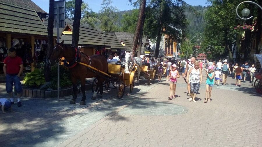 From Krakow: Zakopane & Hot Thermal Springs Private Tour - Chocholowska Thermal Baths for 2.5 Hours