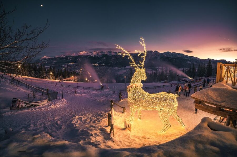 From Krakow: Zakopane & Hot Thermal Springs Private Tour - Timing, Comfort, and Who Will Enjoy It