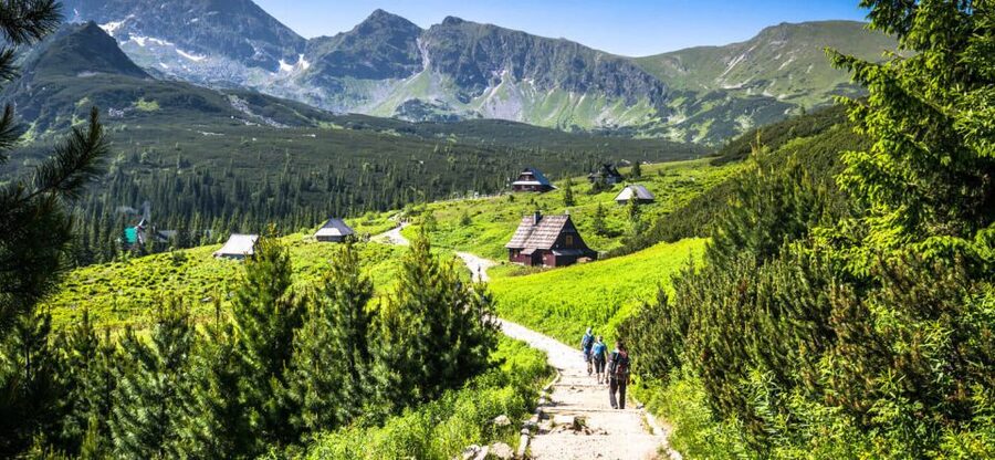 From Krakow: Zakopane & Hot Thermal Springs Private Tour - Booking Tips for a Smoother Day