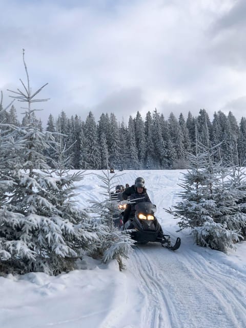 From Krakow: Zakopane Snowmobile NIGHT Ride, Bonfire, - Who will enjoy this outing most