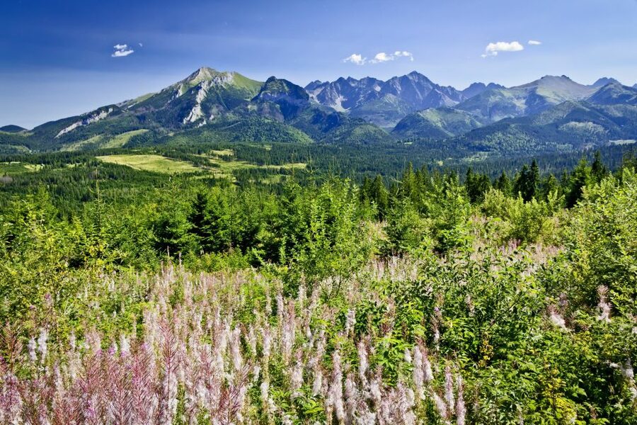 From Krakow: Zakopane Tatra Mountains & Hot Springs Tour - Chocholow’s wooden Highlander homes