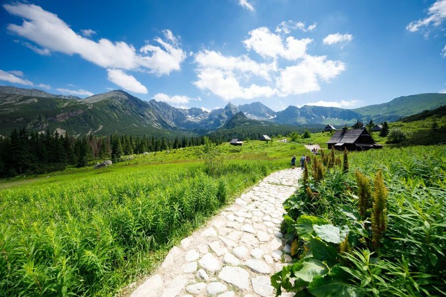 From Krakow: Zakopane Tatra Mountains & Hot Springs Tour - Krupowki Street and the commercial side of Zakopane