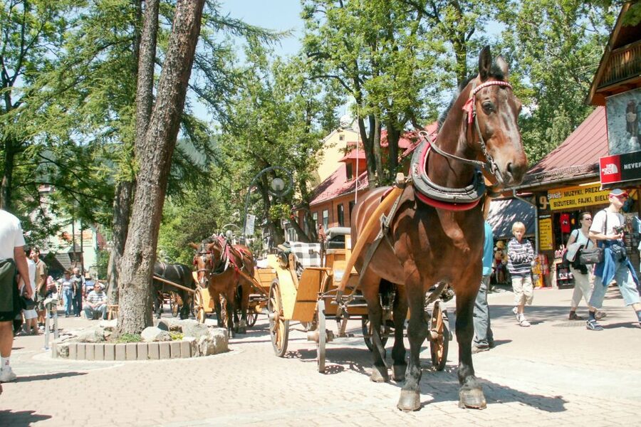 From Krakow: Zakopane & Tatra Mountains Tour - Zakopane’s oldest corners and Peksowy Brzyzek Cemetery
