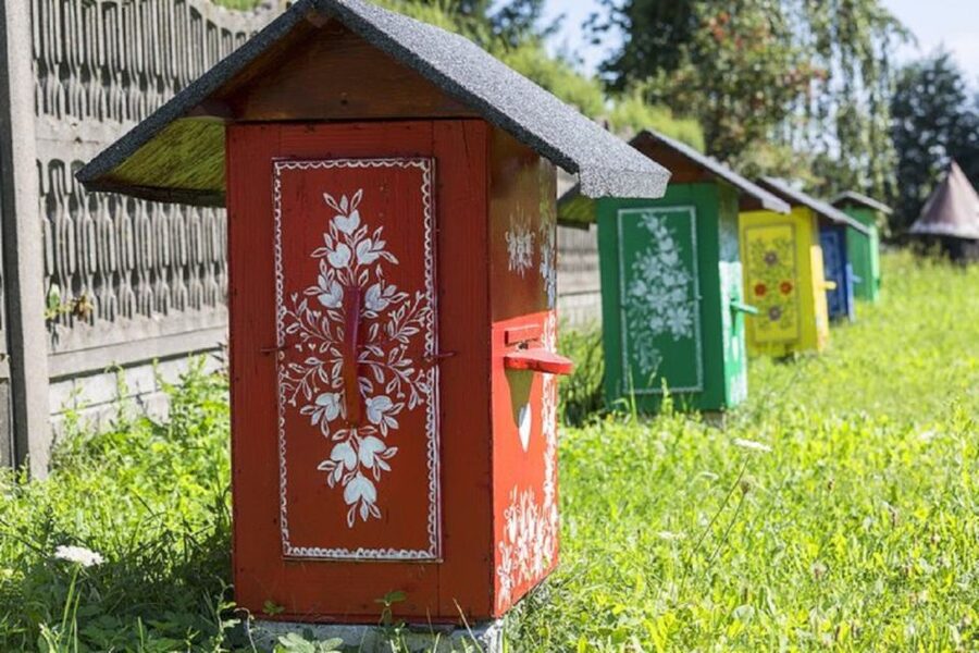From Krakow: Zalipie and Painted Village Guided Tour - Walking among painted homes and village details