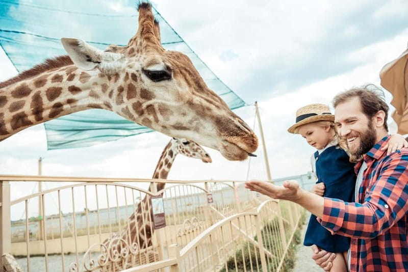 From Krakow: Zoo Trip with Private Luxury Transfer - What the two-hour zoo visit includes
