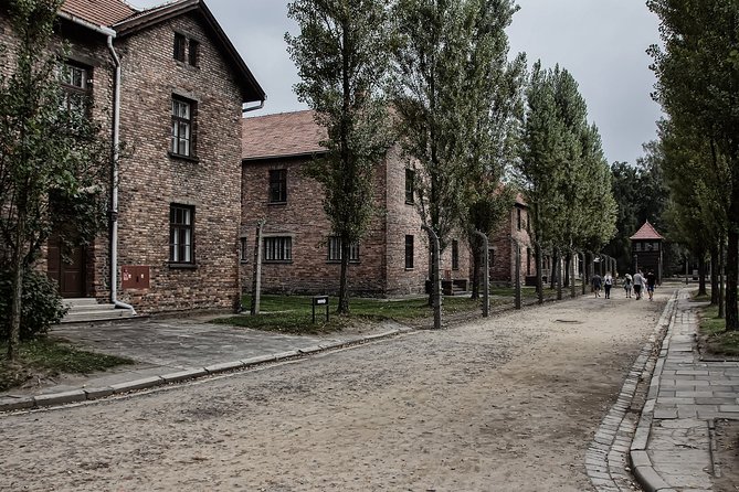 Full-Day Auschwitz and Birkenau Tour from Krakow with Private Transfer - The guide makes or breaks the visit