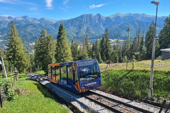 Full-Day Private Tour of Slovakia Treetop Walk and Zakopane - Key points to know before booking