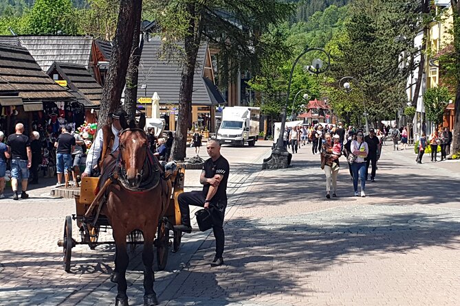 Full-Day Private Tour of Slovakia Treetop Walk and Zakopane - Is $229.52 per person a fair price?