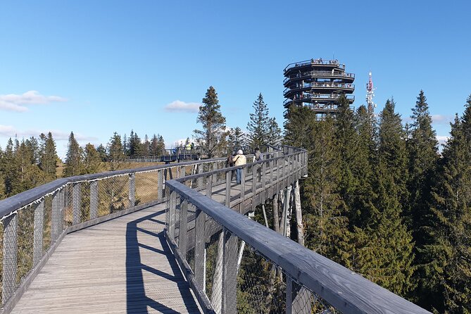 Full-Day Private Tour of Slovakia Treetop Walk and Zakopane - Bachledka treetop walk: the day’s best outdoor stop