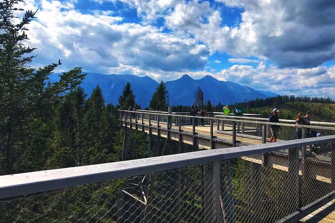 Full-Day Tour of Zakopane and Sky Walk Heart of Poronin - Walking 18 meters above Zgorzelisko Glade