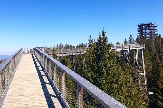 Full-Day Zakopane and Slovakia Treetop Walk From Krakow - Riding the Gubalowka funicular