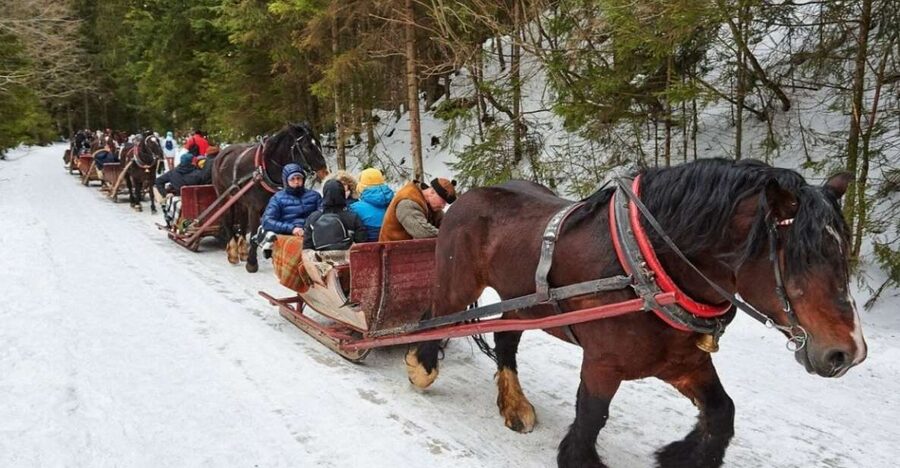 Horse Sleigh 2-3h Ride with Hot Springs or Zakopane Combos - A snowy route into Podhale