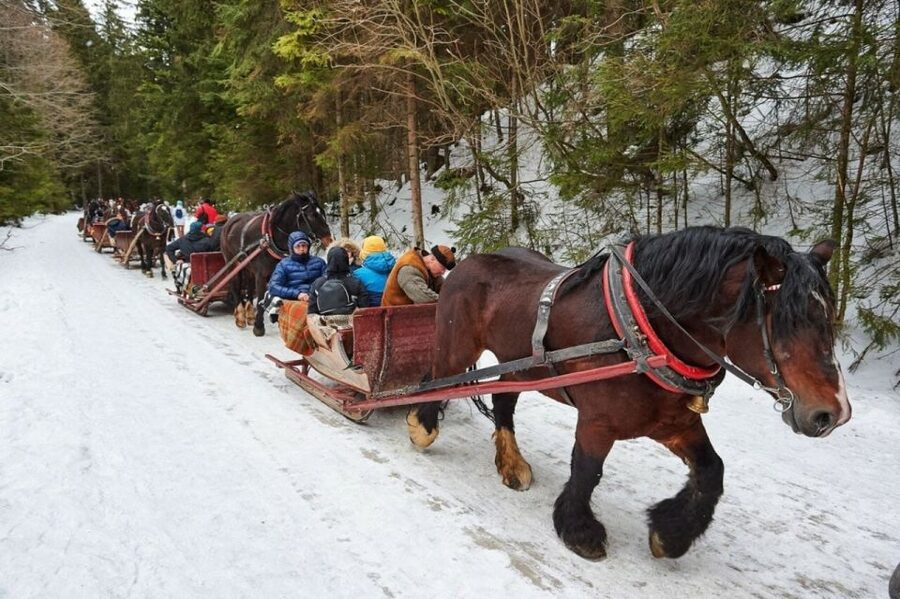 Horse Sleigh 2-3h Ride with Hot Springs or Zakopane Combos - Riding the funicular to Gubalowka