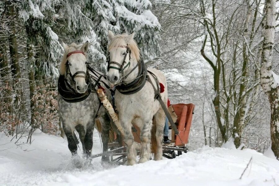 Horse Sleigh 2-3h Ride with Hot Springs or Zakopane Combos - What $223 buys you