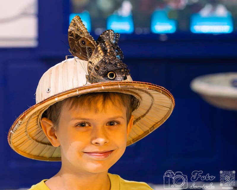 Krakow: 4 Mazes and Living Butterfly Museum Entry Ticket - How the visit fits into a day in Krakow