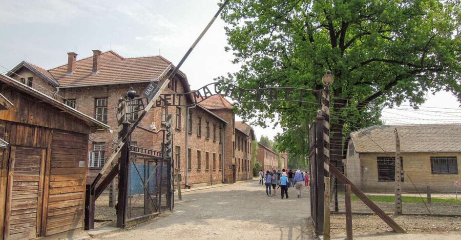 Krakow: Auschwitz and Wieliczka Salt Mine Combo Tour - Two major sites, one demanding day