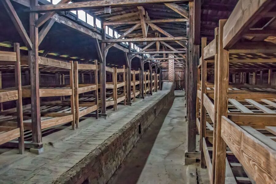 Krakow: Auschwitz and Wieliczka Salt Mine Combo Tour - Who will appreciate this combined tour?