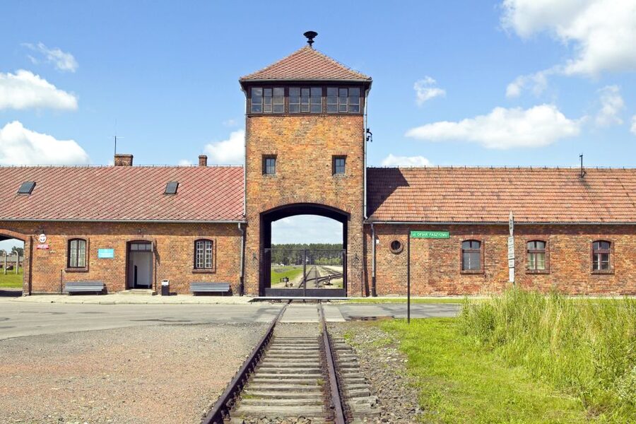 Krakow: Auschwitz-Birkenau and Salt Mine Guided Tour - Key points to know before booking