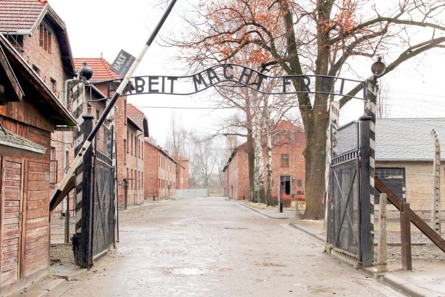Krakow: Auschwitz-Birkenau and Salt Mine Guided Tour - Who should choose this tour?