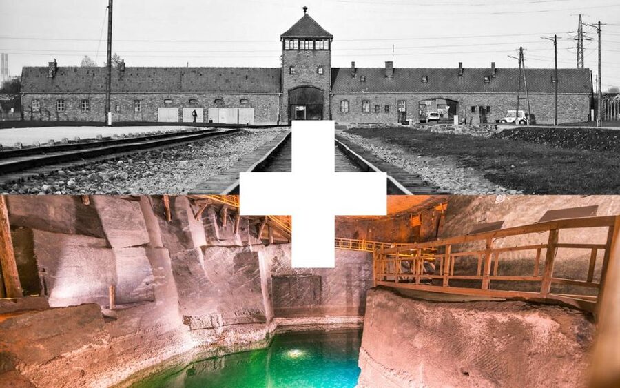 Krakow: Auschwitz-Birkenau and Salt Mine Guided Tour - Why this pairing works from Krakow