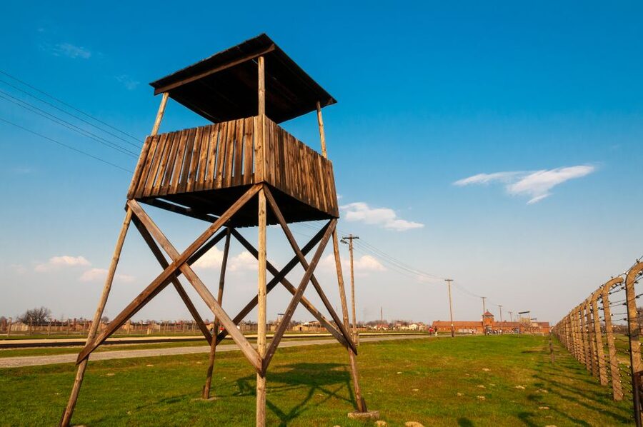 Krakow: Auschwitz-Birkenau and Wieliczka Salt Mine Day Trip - What the $131 price includes
