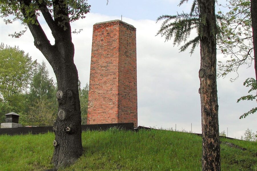Krakow: Auschwitz-Birkenau Day Trip with Tour Leader - Is $37 good value?