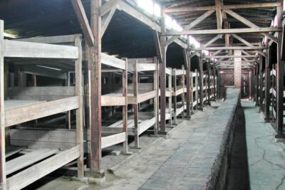 Auschwitz-Birkenau Day Trip with Tour Leader