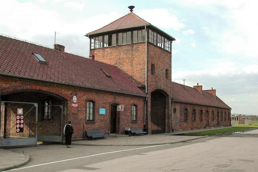 Krakow: Auschwitz-Birkenau Day Trip with Tour Leader - What the tour leader actually does