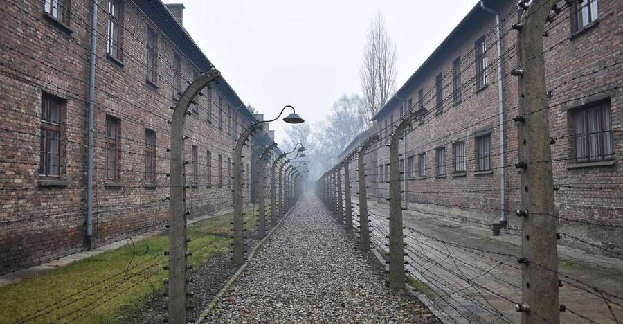 Krakow: Auschwitz-Birkenau Day Trip with Tour Leader - Timing, food, and the journey home