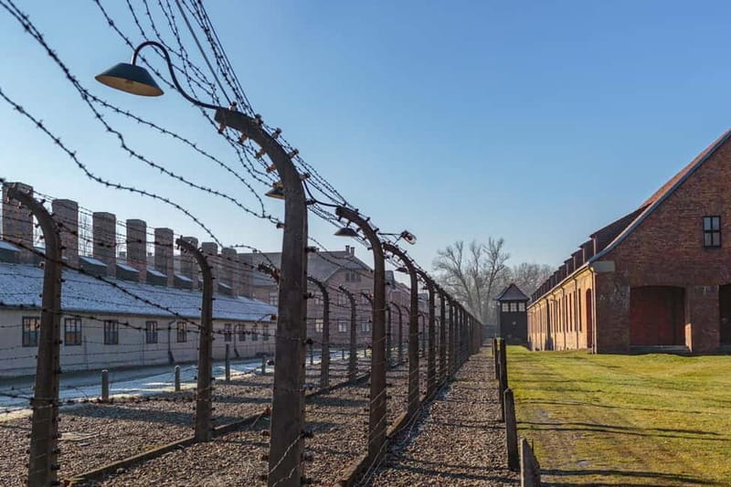 Krakow: Auschwitz-Birkenau Entry Ticket and Transfer - Birkenau and the scale of the killing site