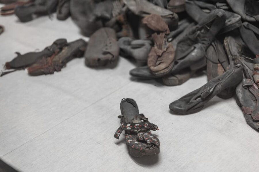 Krakow: Auschwitz-Birkenau Guided Tour and Private Transport - What to wear and bring
