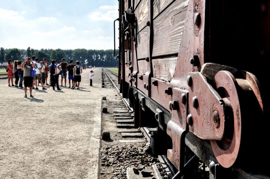 Krakow: Auschwitz-Birkenau Guided Tour Pickup/Lunch Options - What the guides add, and where the service varies