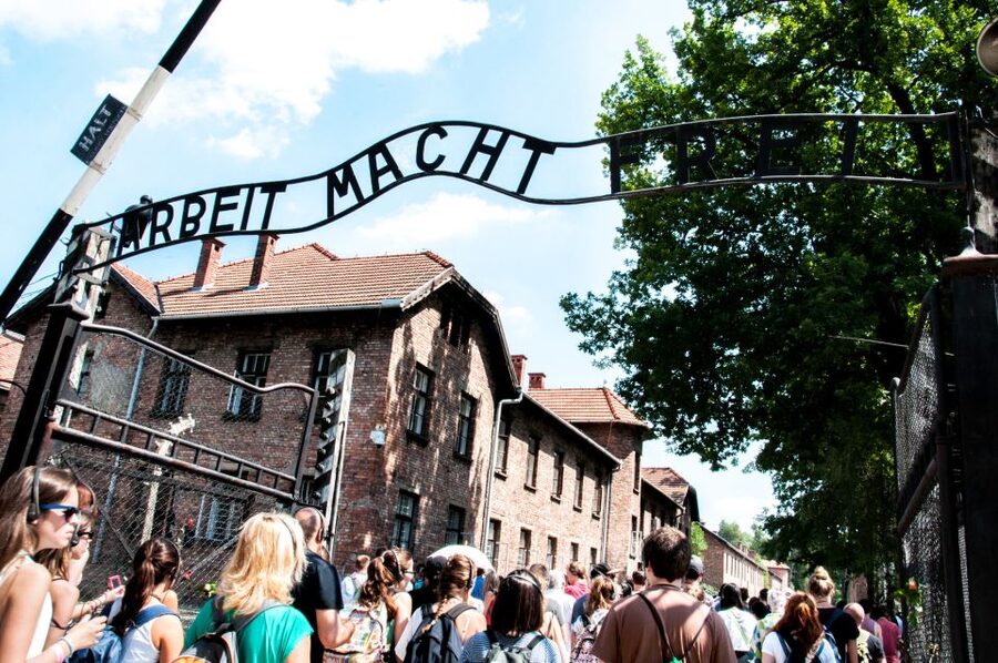 Krakow: Auschwitz-Birkenau Guided Tour Pickup/Lunch Options - Who should book this Auschwitz tour?