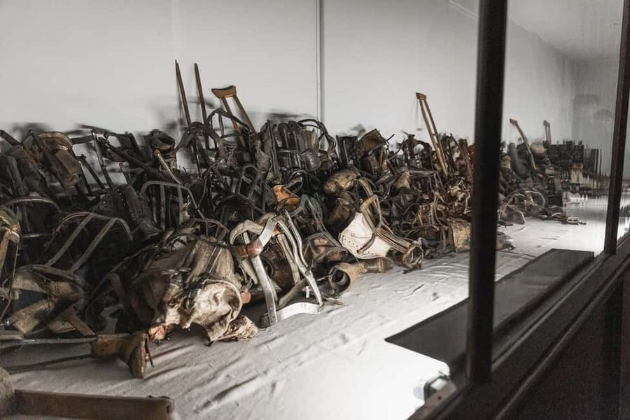 Krakow: Auschwitz-Birkenau Guided Tour with Transportation - Who should choose this tour?