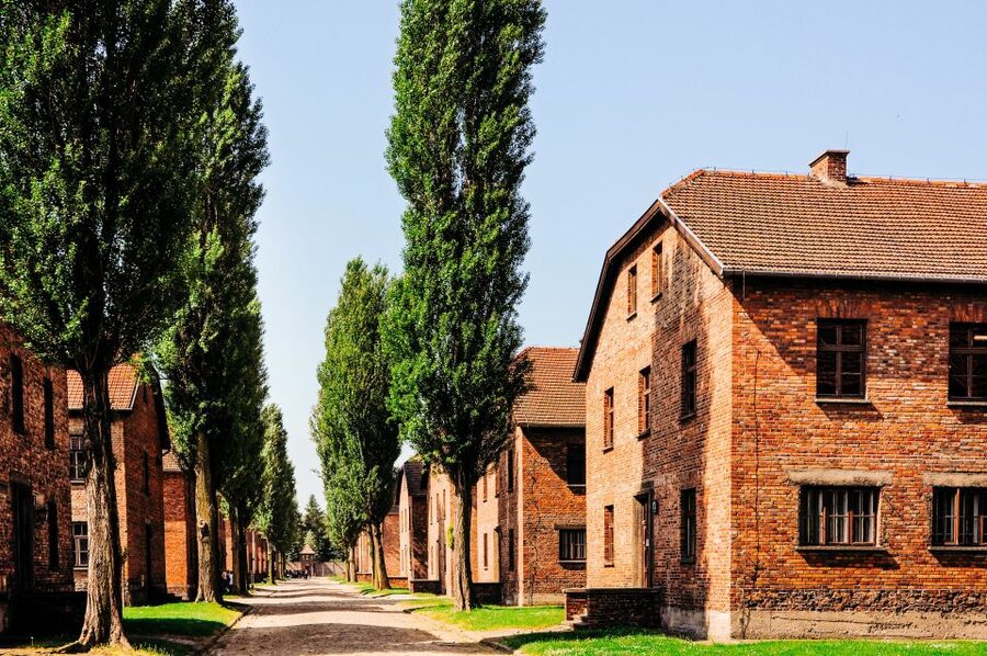 Krakow: Auschwitz-Birkenau Live Guided Tour & Hotel Pickup - Walking through Birkenau’s huge camp grounds