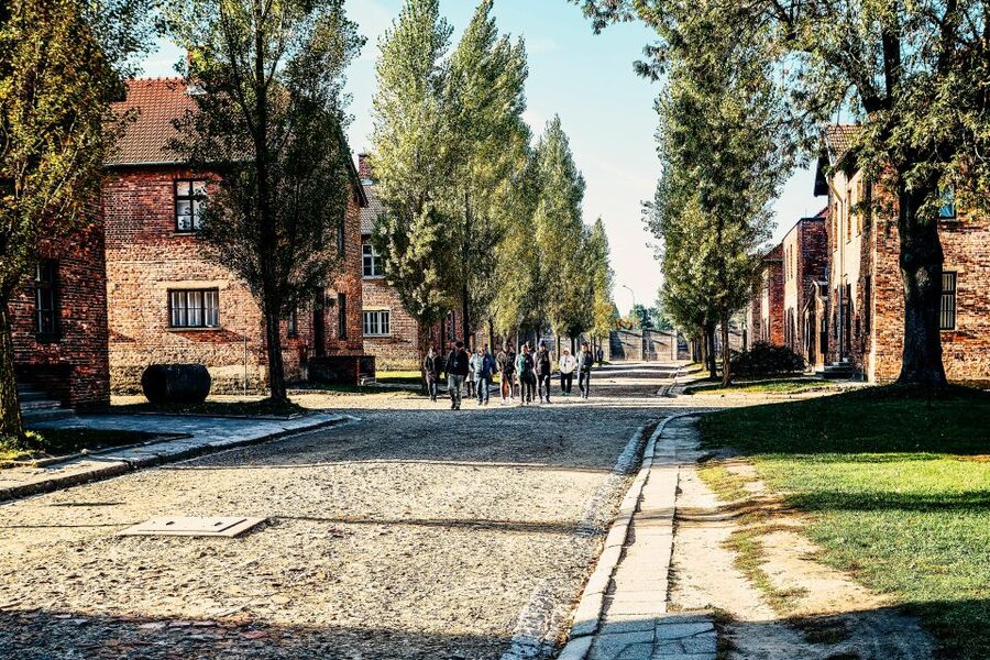 Krakow: Auschwitz-Birkenau Live Guided Tour & Hotel Pickup - How the group format affects your day