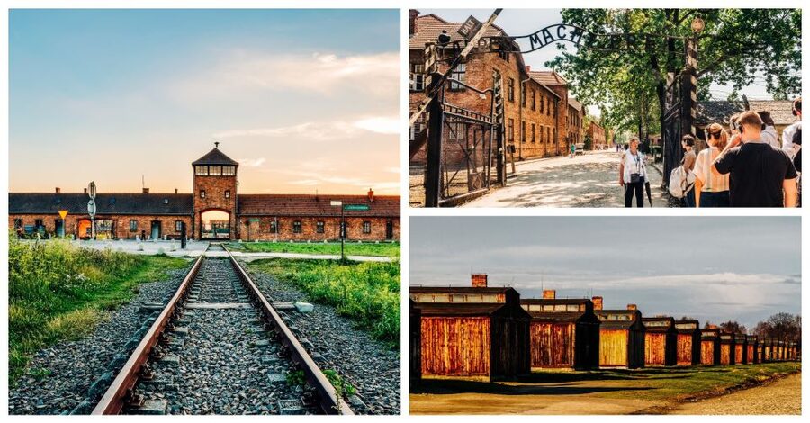Krakow: Auschwitz-Birkenau Live Guided Tour & Hotel Pickup - Who should book this tour?