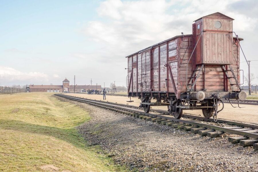 Krakow: Auschwitz Birkenau Museum Guided Tour with Pickup - Timing, queues, and the early start question