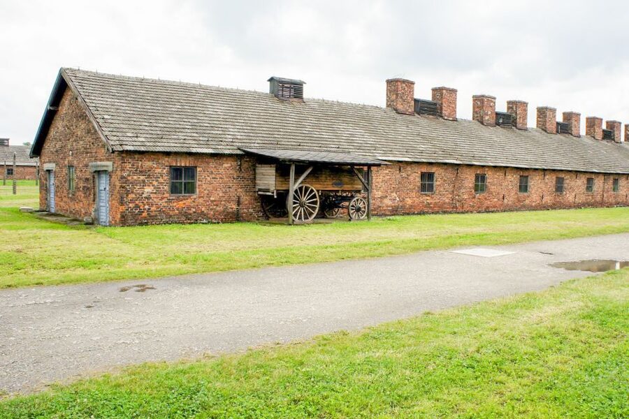 Krakow: Auschwitz Birkenau Museum Guided Tour with Pickup - What the $8 price means for value
