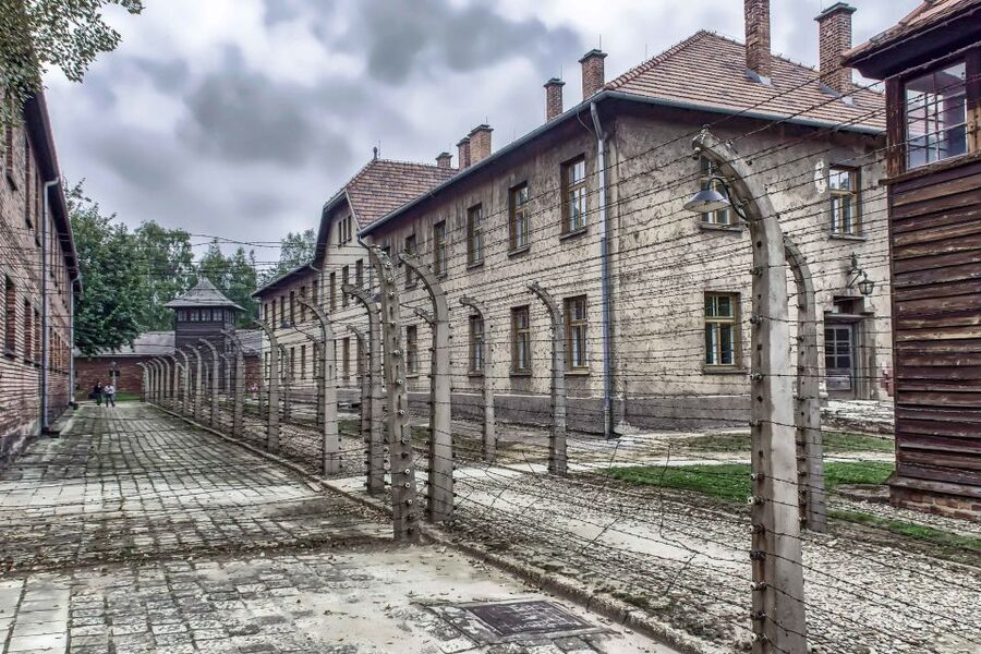 Krakow: Auschwitz Birkenau Museum Guided Tour with Pickup - Group size, language, and the guide’s role