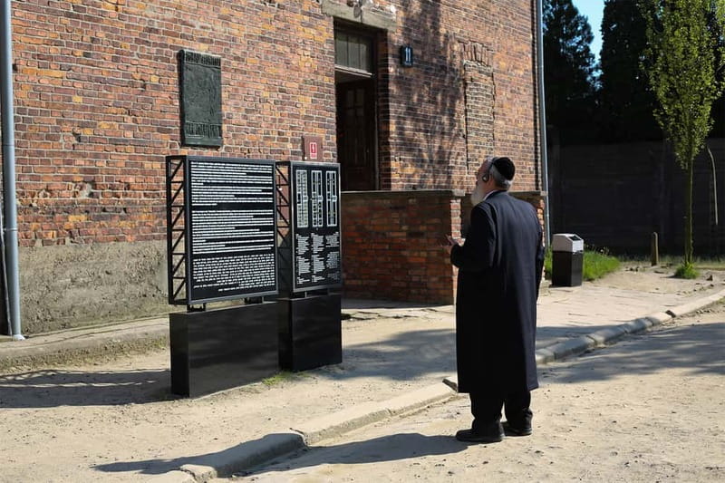 Krakow: Auschwitz-Birkenau Private Guided Tour - From your Krakow hotel to Auschwitz
