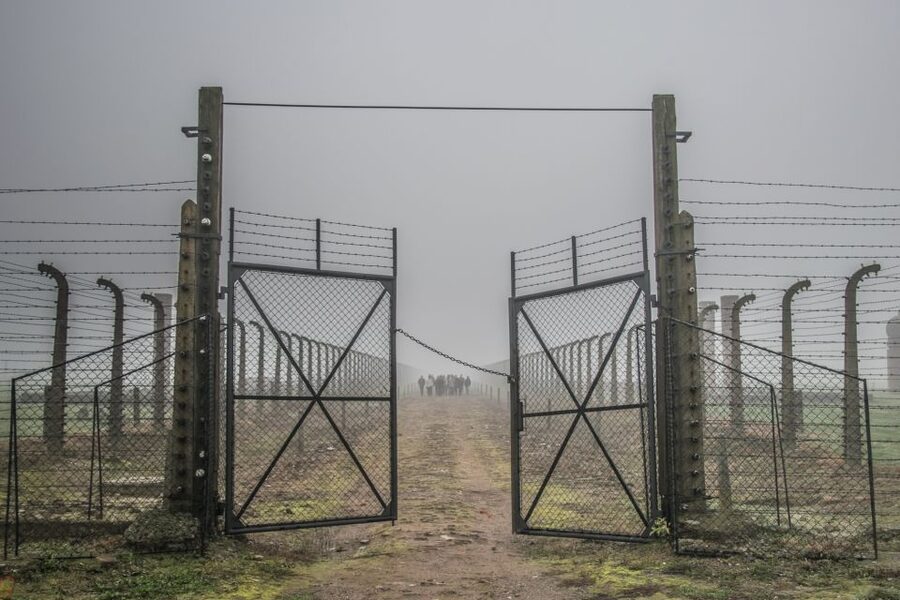 Kraków: Auschwitz-Birkenau & Salt Mine Full-Day Guided Tour - Key points to know before booking