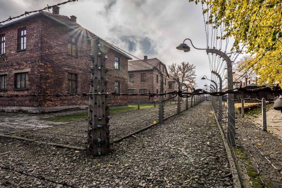 Kraków: Auschwitz-Birkenau & Salt Mine Full-Day Guided Tour - Birkenau and the scale of the killing site