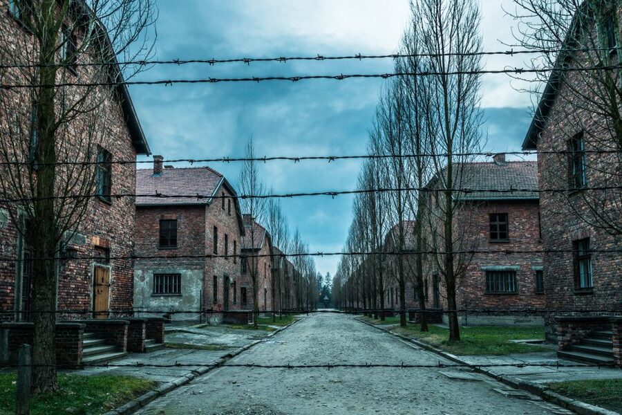 Kraków: Auschwitz-Birkenau & Salt Mine Full-Day Guided Tour - Transport, timing, and comfort