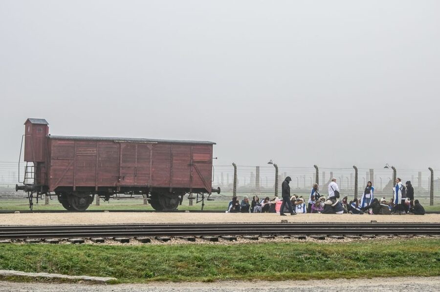 Kraków: Auschwitz-Birkenau & Salt Mine Full-Day Guided Tour - What the $27 price really covers