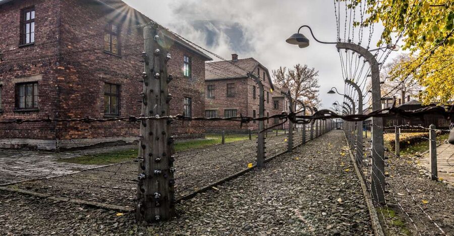 Kraków: Auschwitz-Birkenau & Salt Mine Full-Day Guided Tour - The early pickup from Kraków