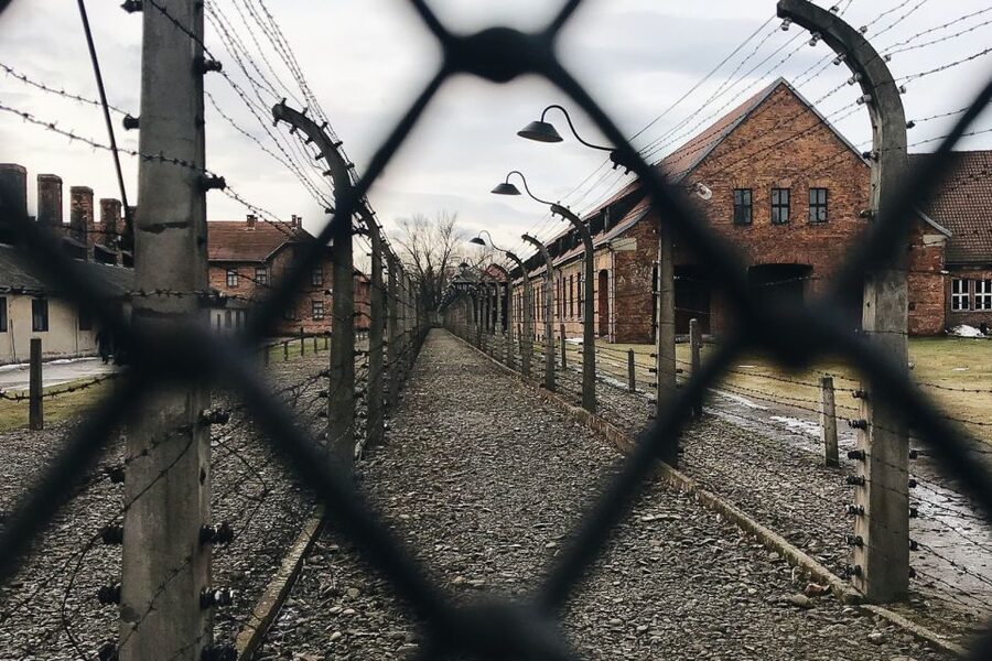 Krakow: Auschwitz-Birkenau Tour Limited to 15 Visitors - Practical preparation for a difficult day