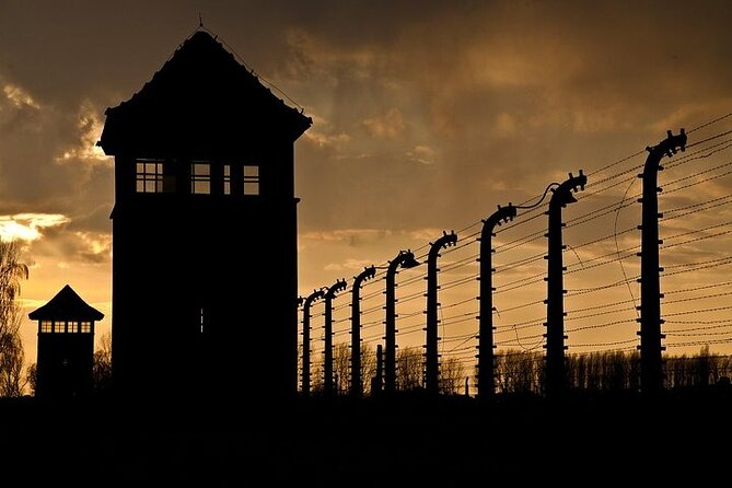 Krakow: Auschwitz-Birkenau Tour & Museum Expert Guide - The road from Krakow is part of the day