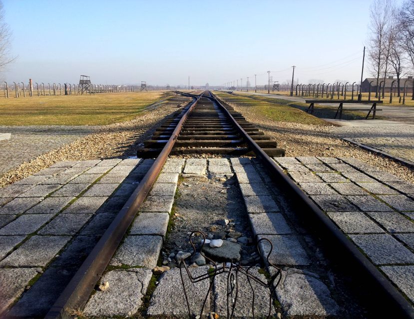 Krakow: Auschwitz-Birkenau & Wieliczka Salt Mine with Lunch - Who should book this day trip?